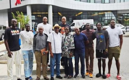 Fédération malienne de basket-ball :    Rencontre stratégique avec les Aigles du Mali à New York