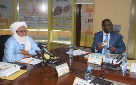 91e session du conseil d'administration de la Banque malienne de solidarité : Trajectoire de croissance maintenue malgré un contexte difficile