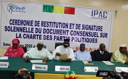 Transition et refondation politique : Se hâter lentement ?