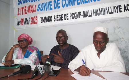 Lithium au Mali : la société civile plaide pour un cadre juridique spécifique et le traitement du minerai sur place
