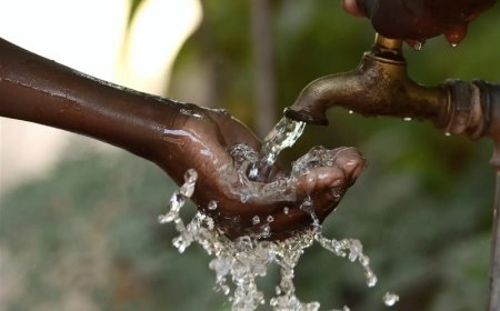 Les brèves de Rouky : Impropre à la consommation !