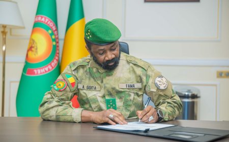 À l'heure du Mali, Dissolution des partis politiques : Entre ingestion et digestion