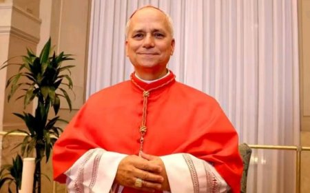 LEON XIV :  Un nouveau Pape pour une Eglise en mutation