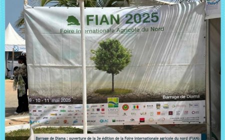 Foire Internationale Agricole du Nord (FIAN) :  Le bassin du fleuve Sénégal se vend