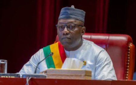 CNT : Le projet de loi portant statut de l'apatride au Mali et d'autres textes adoptés