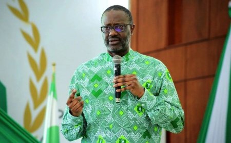 RCI : Tidjane Thiam rempile à la présidence du PDCI
