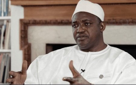 Vente des biens de Jammeh : Barrow promet des mesures correctives