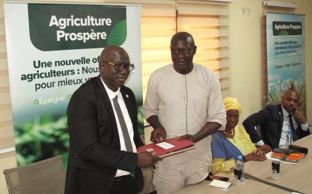 « Agriculture Prospère » : 04 interprofessions agricoles adhèrent à l’initiative de la BNDA