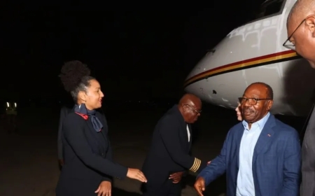 Gabon : l'ex-président Ali Bongo et sa famille libérés et arrivés en Angola