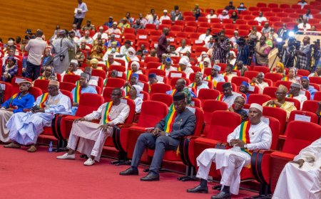 Société de raffinerie d'or du Mali : Le CNT autorise la participation de l'Etat au capital social