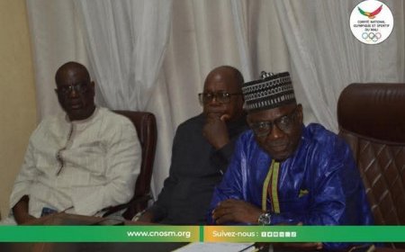 Comité National Olympique et sportif du Mali : Le Plan stratégique 2021-2024 passé au peigne fin