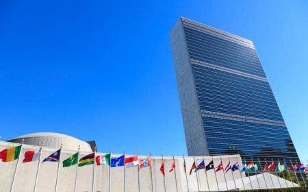 Ingérence étrangère et souveraineté nationale : Quand l'ONU confirme son instrumentalisation !