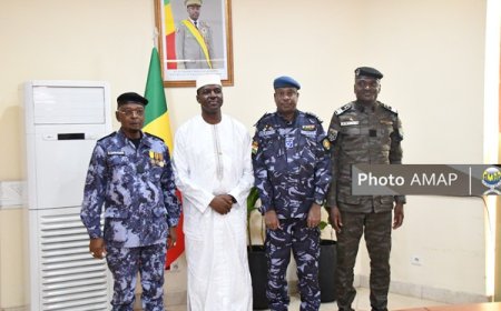 Confédération AES : Les directeurs généraux des douanes reçues à la primature