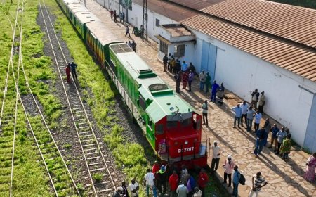 Relance du train : l’indifférence de la Sopafer