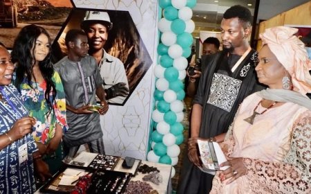 Bilan de l'emploi au Mali (2025) : Analyse et cartographie des flux