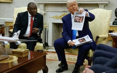 Accusation de "génocide" en Afrique du Sud: les erreurs dans les vidéos de Donald Trump