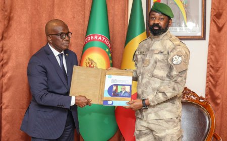 Le Président de la Transition reçoit le Vérificateur Général en fin de mandat