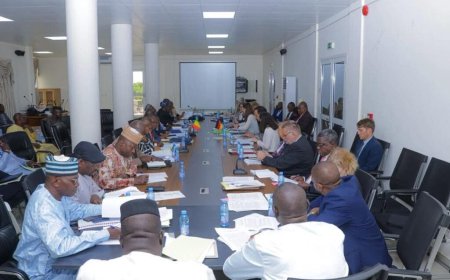 Mali : l’Allemagne maintient son aide humanitaire