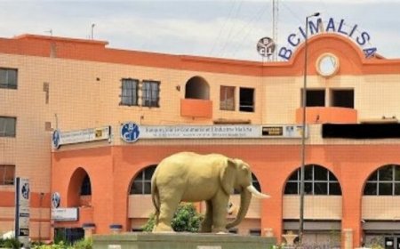 Banque : le groupe Champy International devient l’actionnaire majoritaire de la BCI-Mali