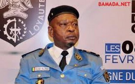 Douanes maliennes :  Un leadership sous régional confirmé