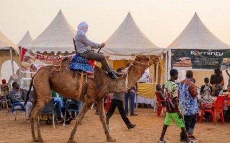 6ème édition festival AG’NA : Le « Nianan Coulou » a résonné au rythme des artistes