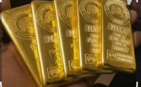 Mali : Une économie portée par l’agriculture et les mines