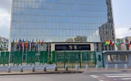 Ce qu’il faut retenir de l’élection à la présidence de la BAD