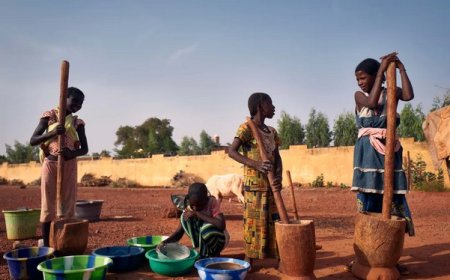 Sahel central : plus de 19 millions de personnes confrontées à la crise alimentaire