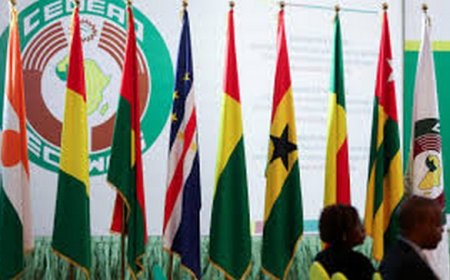 50 ans de la CEDEAO : Des acquis incommensurables