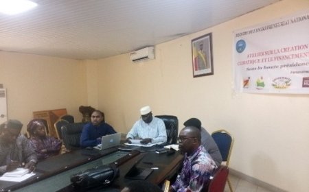 Création d’emplois au Mali : Les opportunités de l’emploi vert