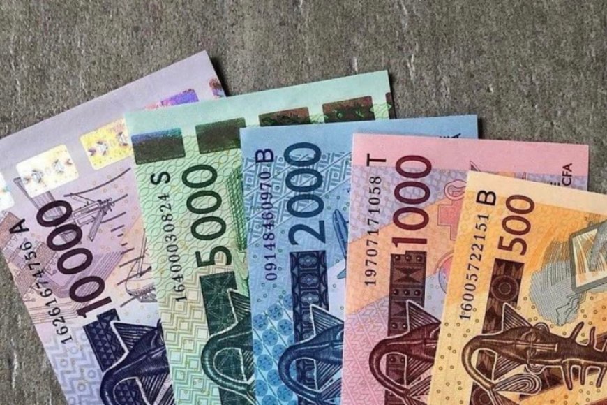 La rupture avec le franc CFA sera le "début d'une Afrique qui dit 'assez' à la domination monétaire"