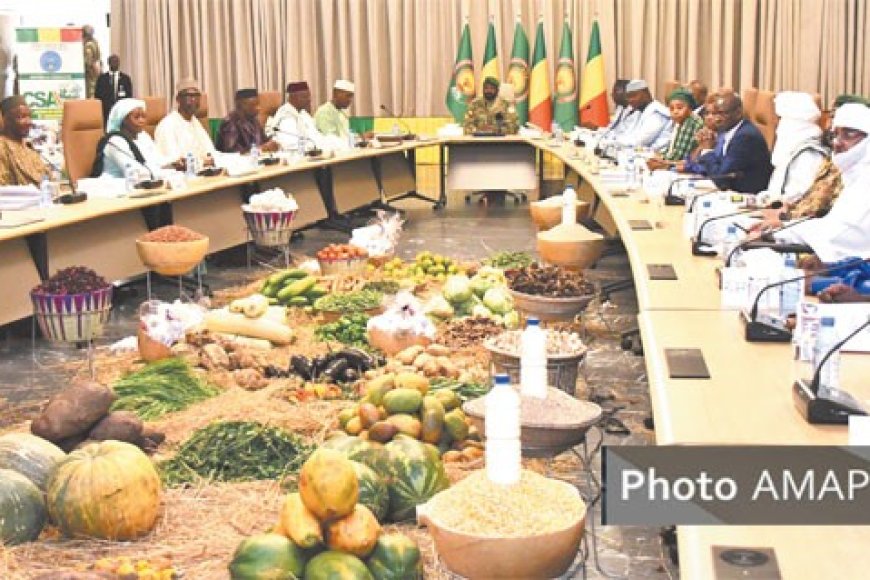 Campagne agricole 2025 : Tout est vert