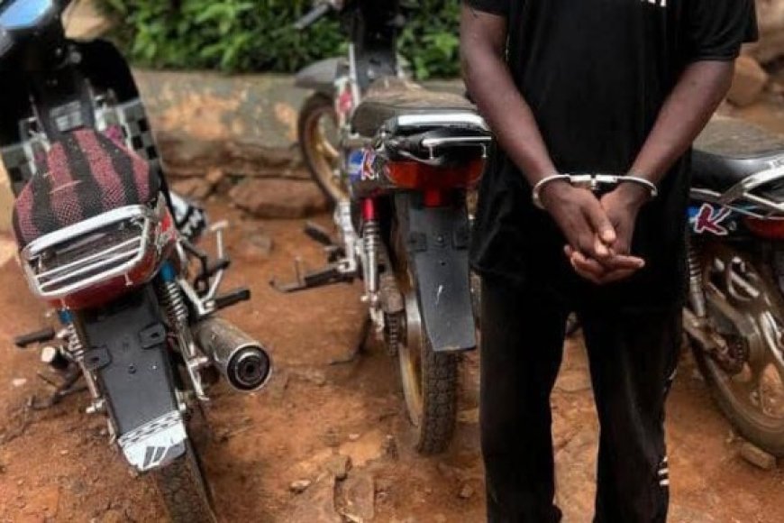 Mali : Un réseau de voleurs de motos démantelé à Sikasso