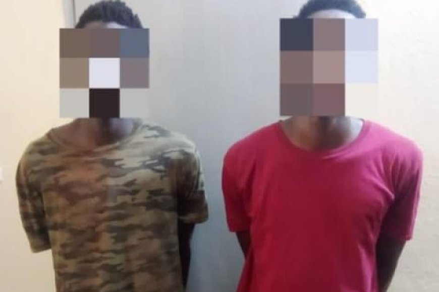 Mali : Deux braqueurs armés interpellés à Banconi