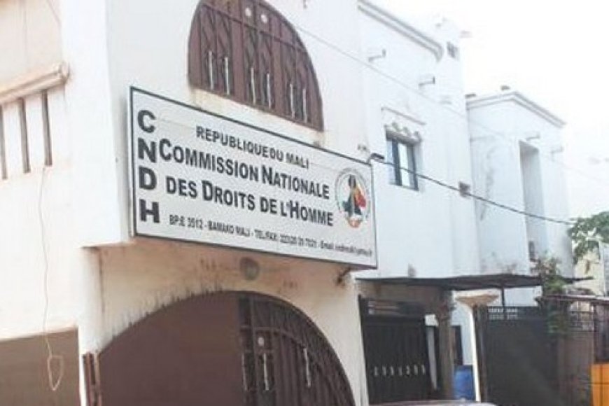 Révision de la charte de la transition : Les objections de la CNDH