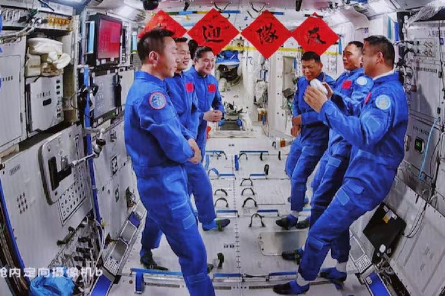 Une espèce inconnue découverte à bord de la station spatiale chinoise