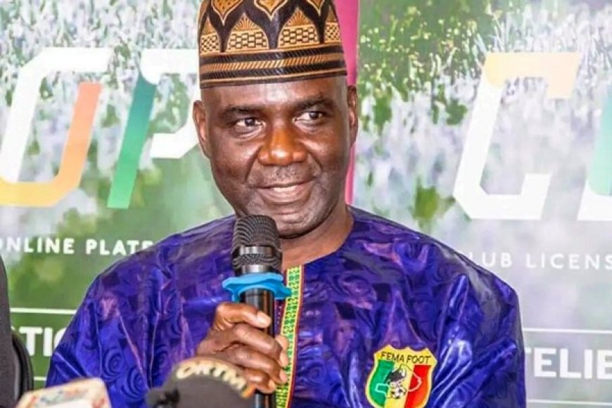 Comité national olympique et sportif du Mali :   La gouvernance évaluée avec succès dans un souci de redevabilité
