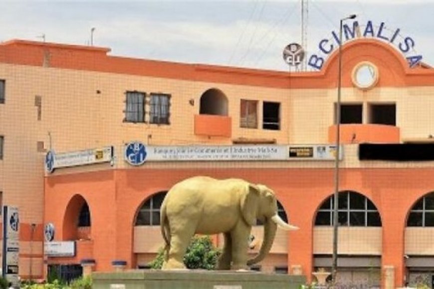 Banque : le groupe Champy International devient l’actionnaire majoritaire de la BCI-Mali
