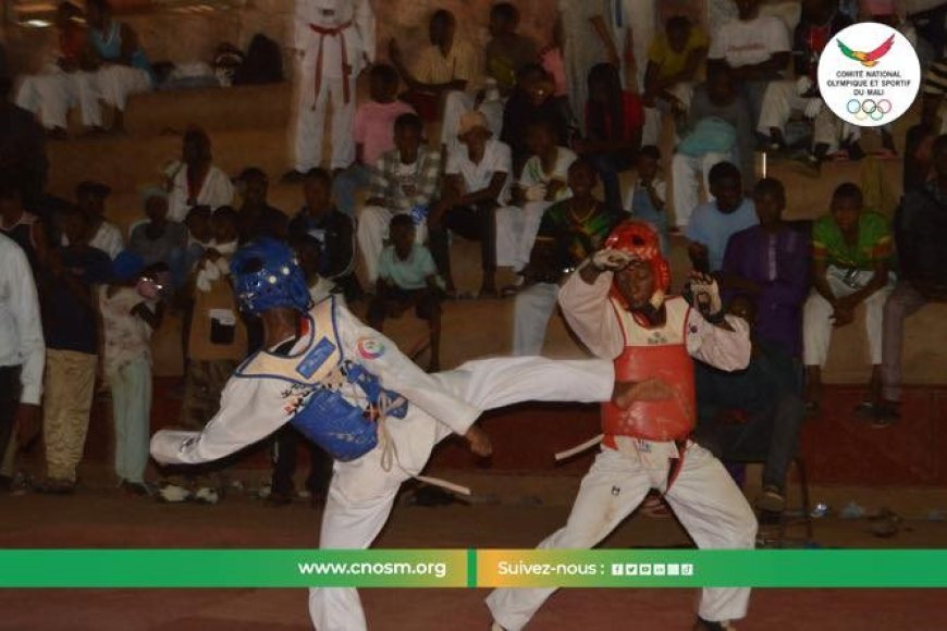 Taekwondo :  Un avenir prometteur