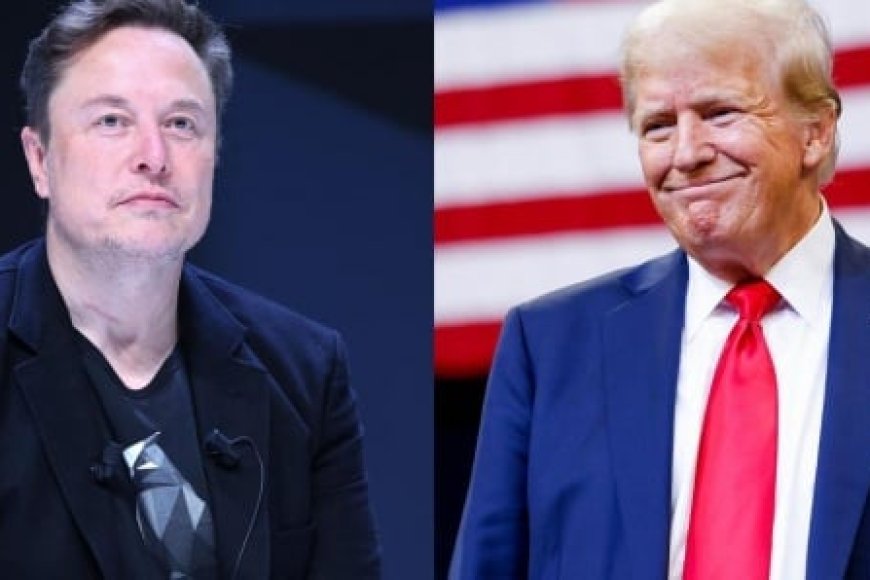 Musk, "déçu" par Trump, quitte son rôle gouvernemental