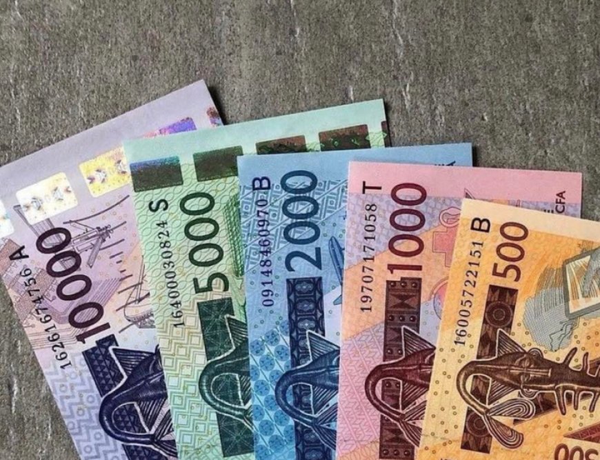 La rupture avec le franc CFA sera le "début d'une Afrique qui dit 'assez' à la domination monétaire"