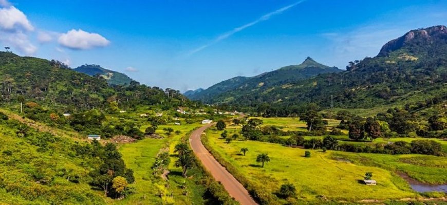 Pole pénal économique et financier de cote d'ivoire : Cinq agences de voyage poursuivies pour "blanchiment de capitaux et fraude fiscale" !