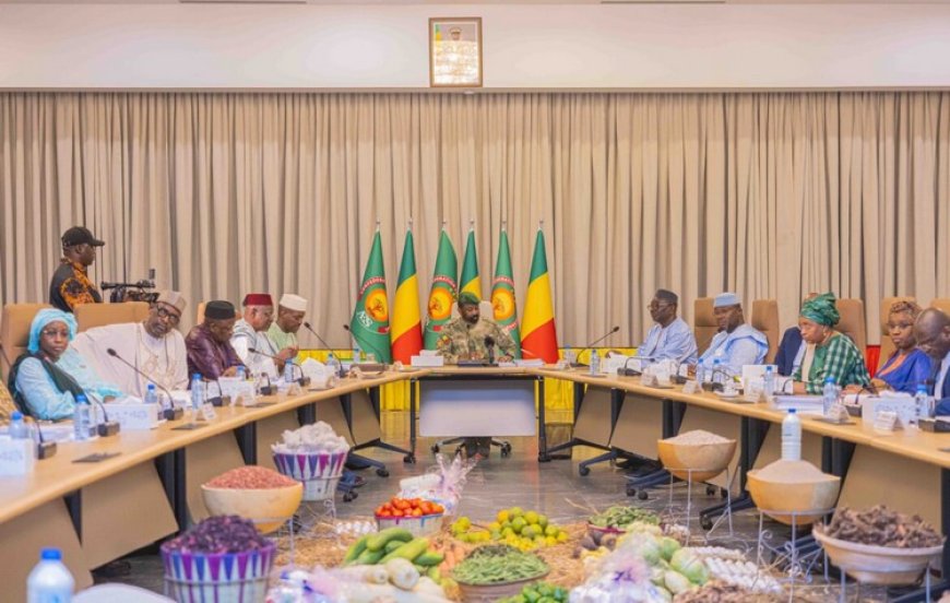 15e session du CSA : le Mali fixe les priorités agricoles pour 2025 et annonce les nouveaux prix des intrants