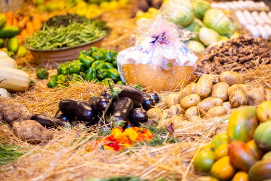 Programme d’action gouvernementale 2025-2026 : cap sur l’autosuffisance alimentaire et le développement rural
