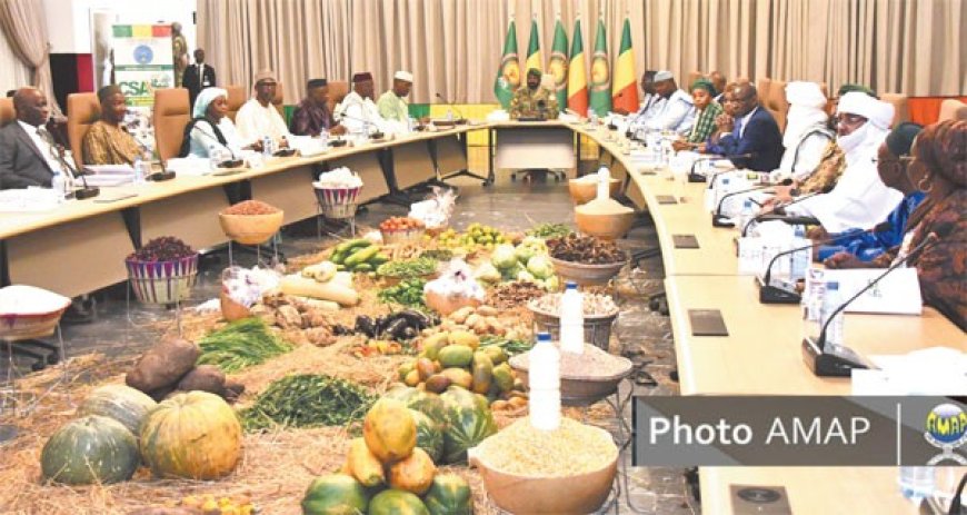 Campagne agricole 2025 : Tout est vert
