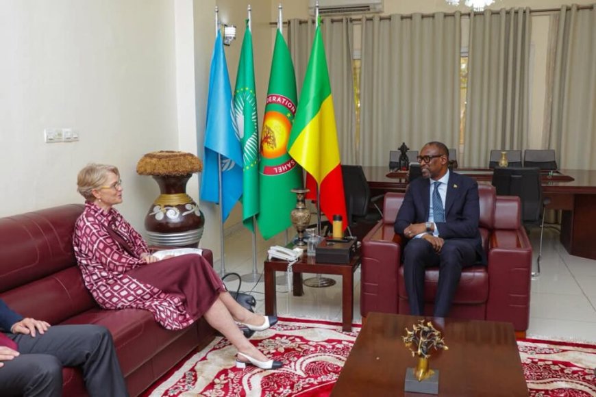 Mali: des relations après la fermeture de l’ambassade danoise