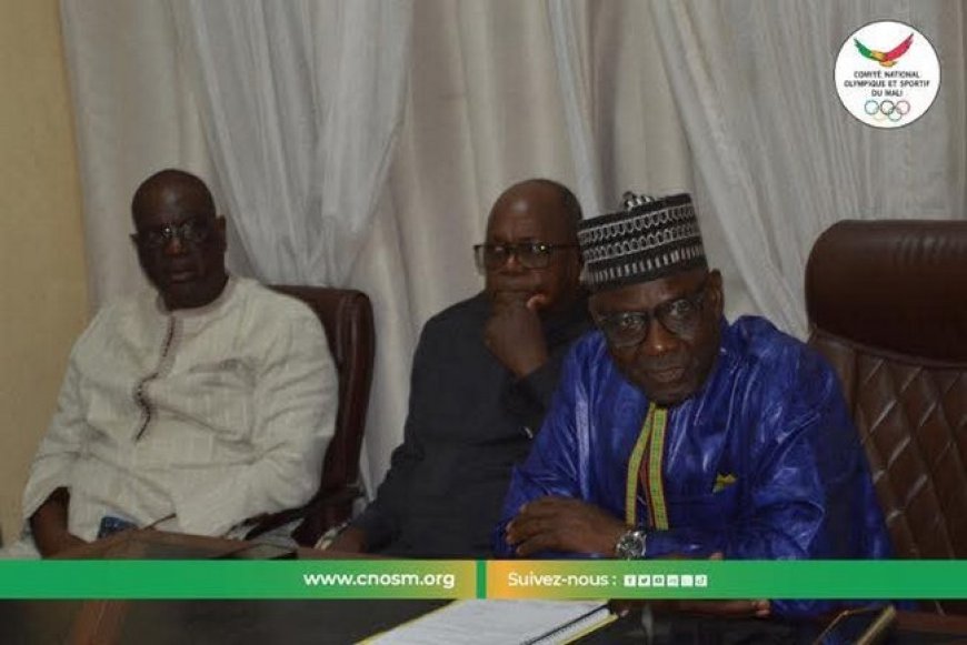 Comité National Olympique et sportif du Mali : Le Plan stratégique 2021-2024 passé au peigne fin