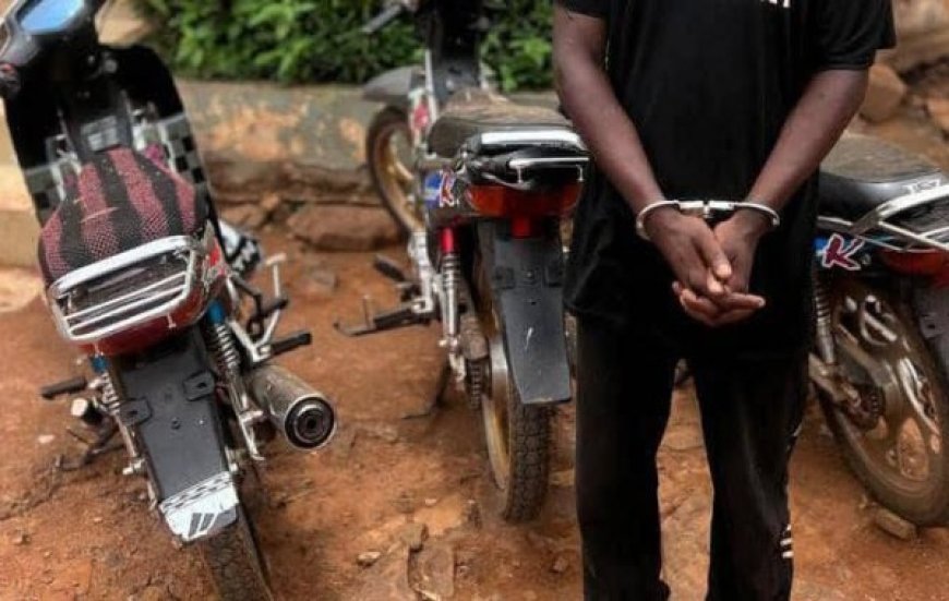 Mali : Un réseau de voleurs de motos démantelé à Sikasso