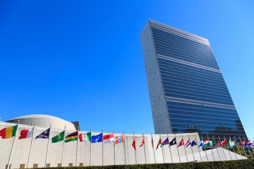 Ingérence étrangère et souveraineté nationale : Quand l'ONU confirme son instrumentalisation !
