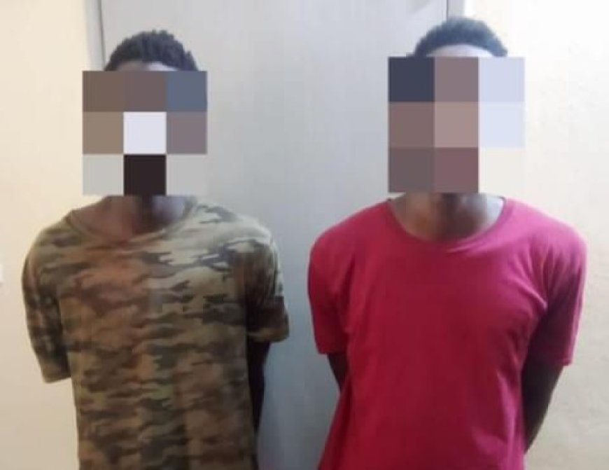 Mali : Deux braqueurs armés interpellés à Banconi